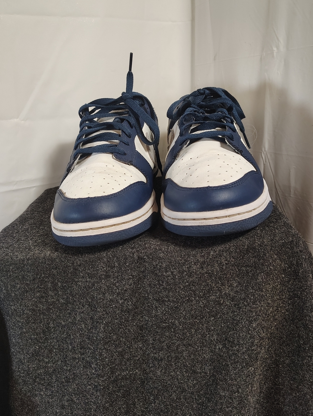 Nike Dunks
